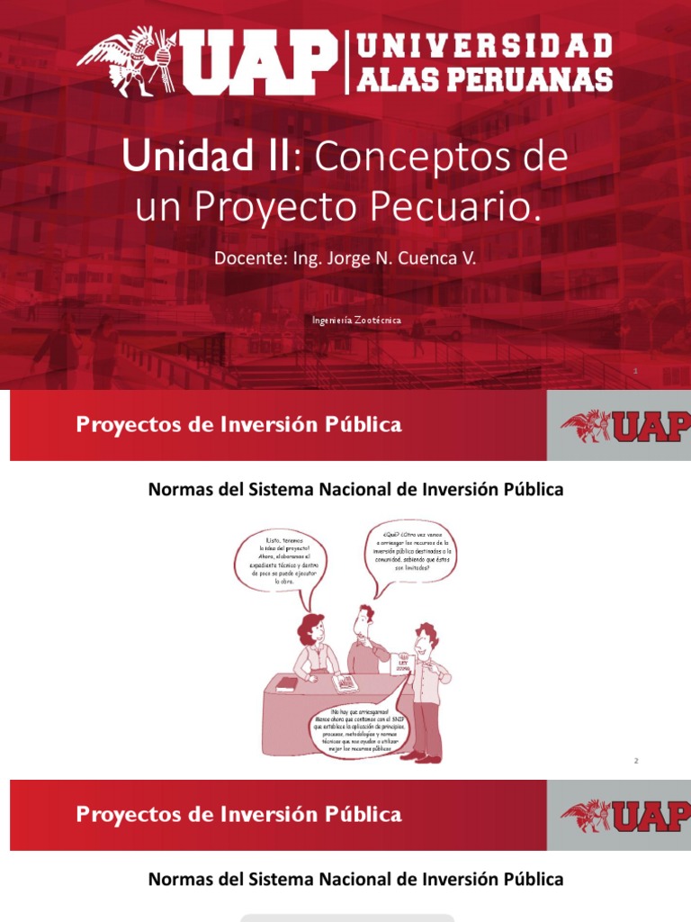 Proyectos de Inversión Pública y SNIP | PDF | Gobierno | Inversiones
