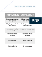 Changes That Take Place During Inhalation and Exhalation