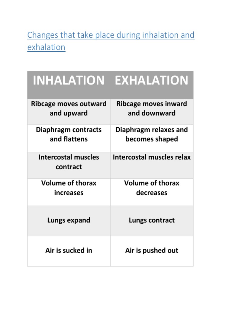 Inhalation vs Exhalation Explained | PDF