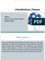 JAMUR