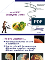  EukaryoticGeneControl(KFogler)