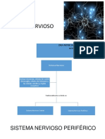 Tejido Nervioso Parte 2