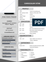 Arin CV PDF