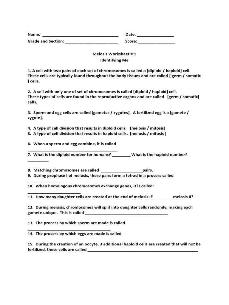 meiosis-review-worksheet