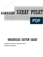 Histologi SSP