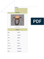 Ecitoninae