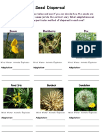 Seed Dispersal Activity