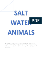 The Animals That Live in The Salt Water Are Most Likely To Be Fish