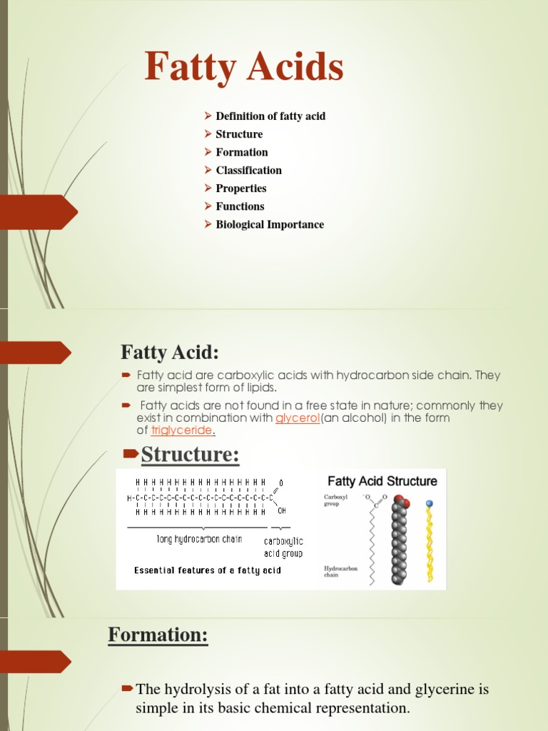 Fatty Acids Definition of Fatty Acid Structure Formation Classification Properties Functions
