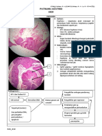 Patologi Anatomi Skin: Papiloma Definisi