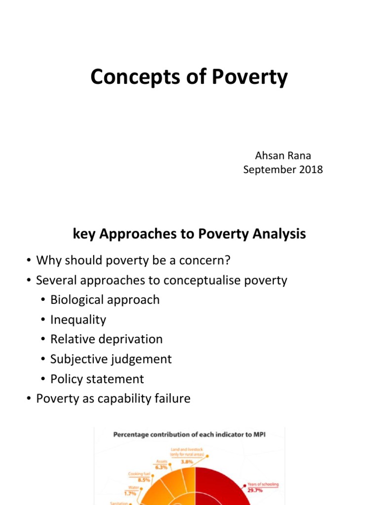 Understanding Poverty: Key Concepts and Gender Issues | PDF | Economic ...