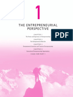 The Entrepreneurial Perspective: The Nature and Importance of Entrepreneurship