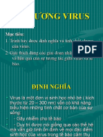 Đ I Cương Virus PDF