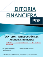 Auditoria Financiera