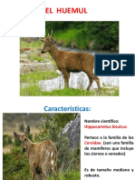 El Huemul