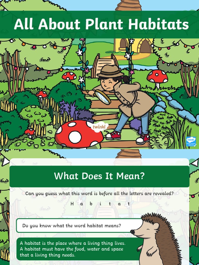 TSc443Ks1AllAboutPlantHabitatsPowerpoint Ver 1 PDF Savanna