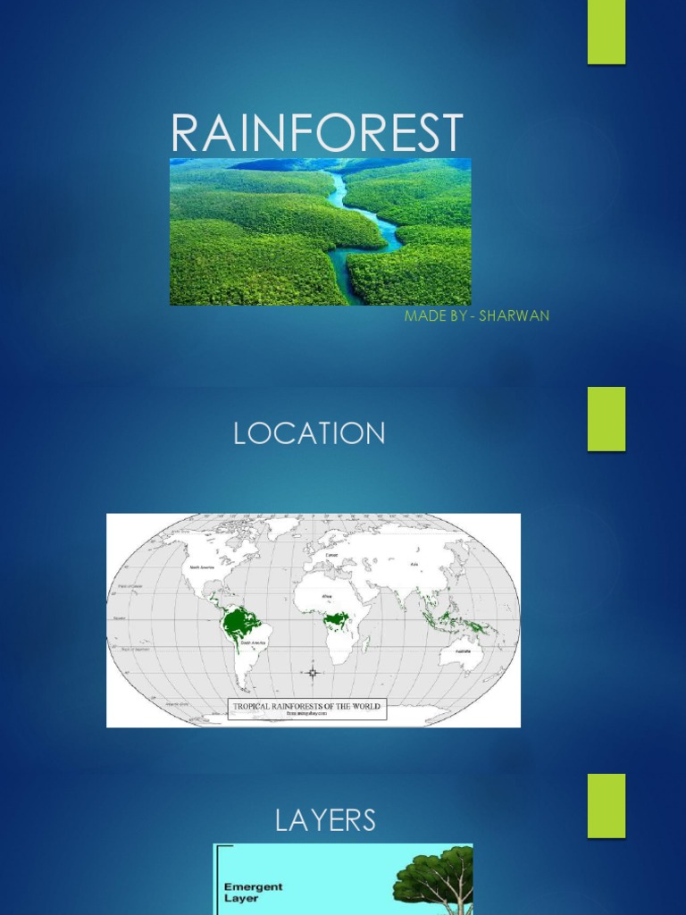 Protecting the Amazon Rainforest | PDF