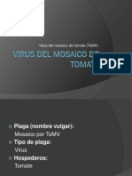 Virus Del Mosaico de Tomate