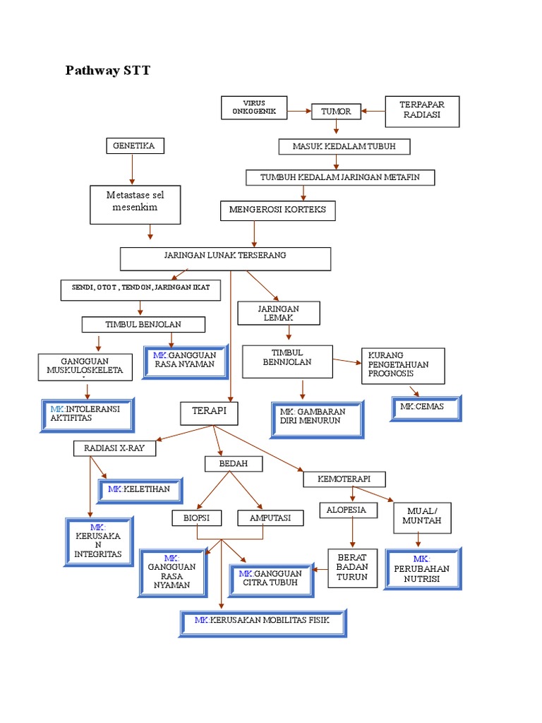 Pathway Tumor dan Terapi STT | PDF