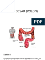 Biokim Usus Besar