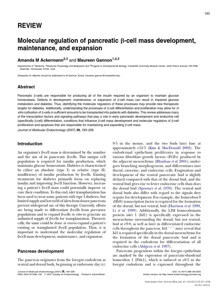 What Is GLP-1 Weight Loss? Complete Guide