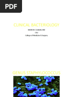 Clinical Bacte