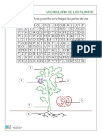 Vocabulario-De-Las-Plantas SOPA DE LETRAS CIENCIAS NATURALES PDF