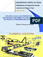 1-Efeito Das Características Morfológicas de Fibras No Proce