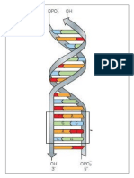 DNA