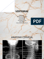 Vertebrae