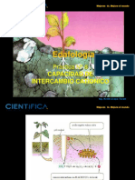 Edafología: Capacidad de Intercambio Cationico