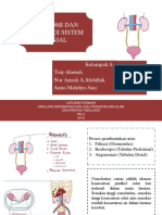 Anfisman Sistem Ginjal