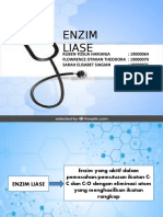 Enzim Liase-1