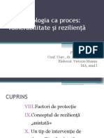 Vulnerabilitate Și Rezilienta