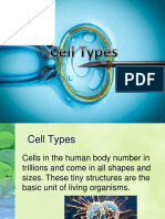 Cell Types