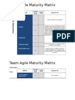 Agile Maturity