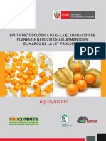 Pauta Planes de Negocios Aguaymanto