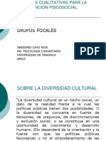 Grupos Focales 2012 PDF