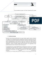 Copia de TIPOS DE FLUIDOS.pdf
