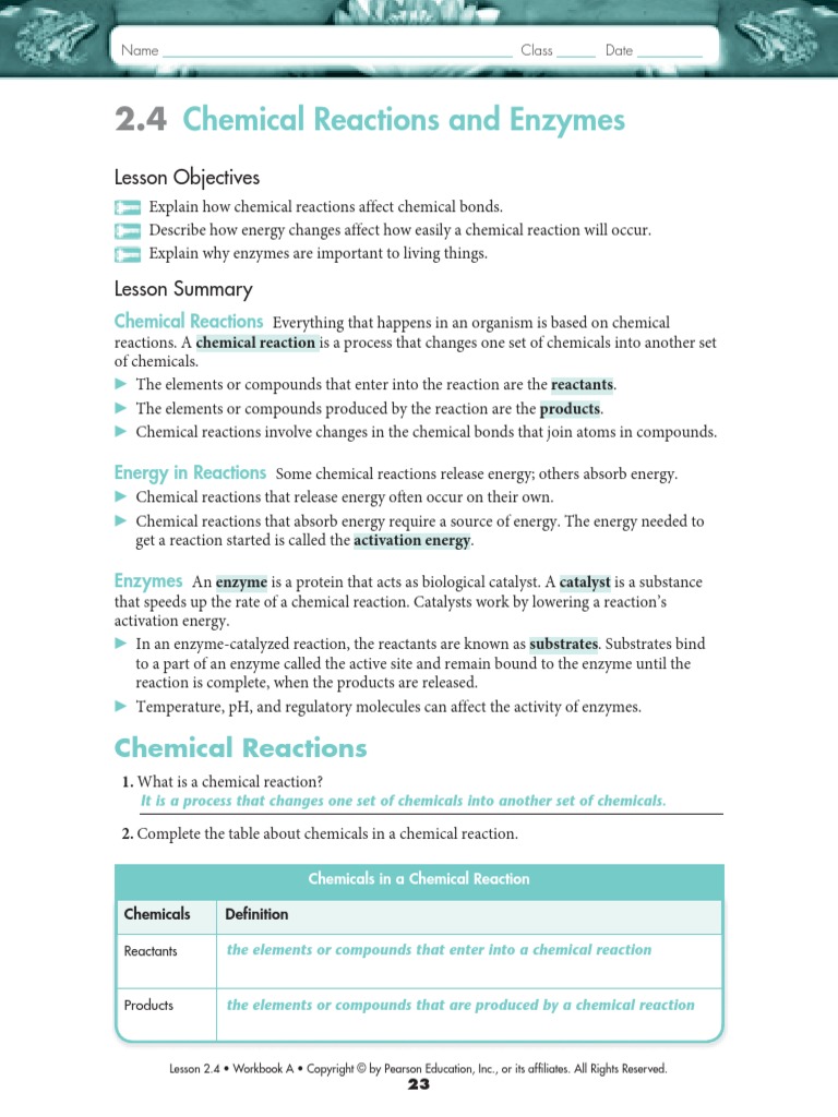 enzyme-worksheet-answer-key-chemical-reactions-active-site