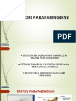 Tumori Parafaringiene