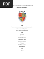 MONOGRAFIA SEMIOLOGIA
