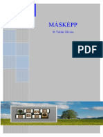 Maskepp PDF