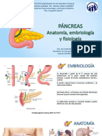 Fisiología Del Páncreas