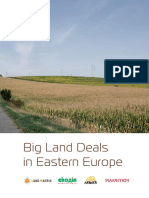 Big Land Deals-Webs