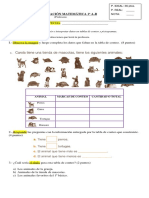 Evaluacion Matemáticas 1° Básico