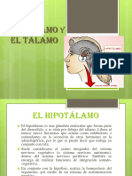 -El-Hipotalamo-y-el-Talamo.pptx