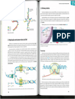 SVLR-PISO019101008400.pdf