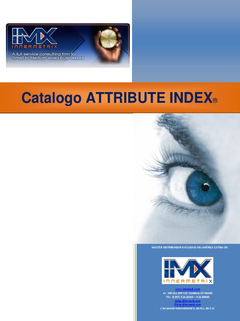 Catálogo Attribute Index INNERMETRIX PDF Planificación Gestión de