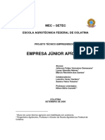 Empresa junior apicola.pdf